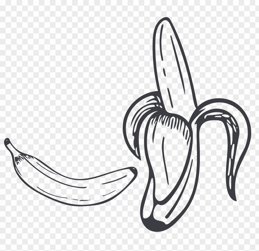 Sketch Banana Black And White Drawing Cartoon PNG