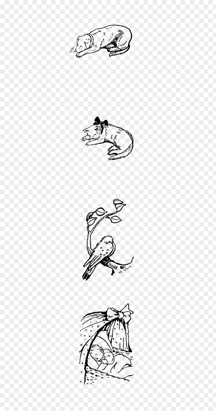 Sleeping Animal Line Art Cartoon Sketch PNG