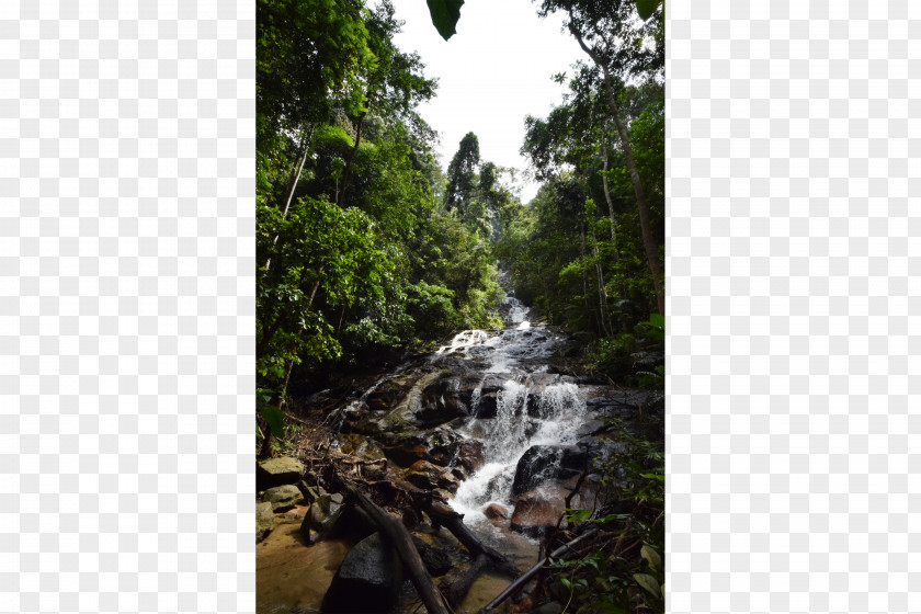 Waterfall Taman Negara Kuala Lumpur Forest Park Kanching Falls Travel PNG