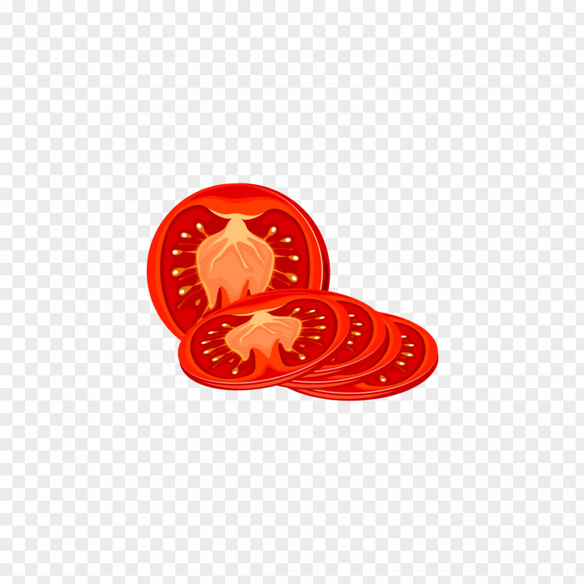 Cut Tomatoes Tomato Euclidean Vector Computer File PNG