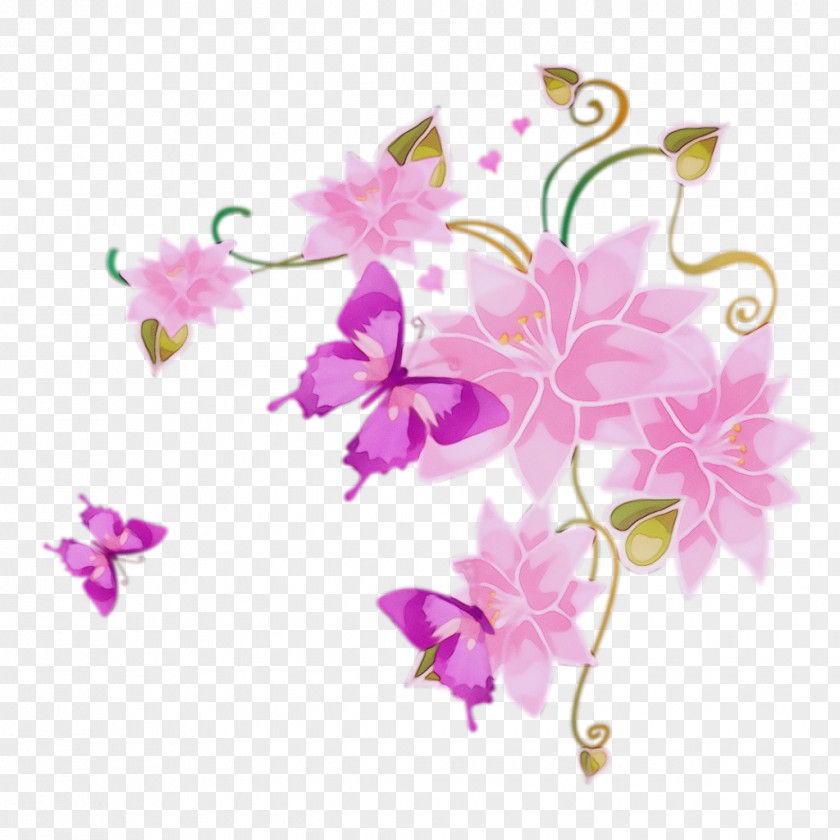 Flowering Plant Blossom Pink Flower Petal Cut Flowers PNG