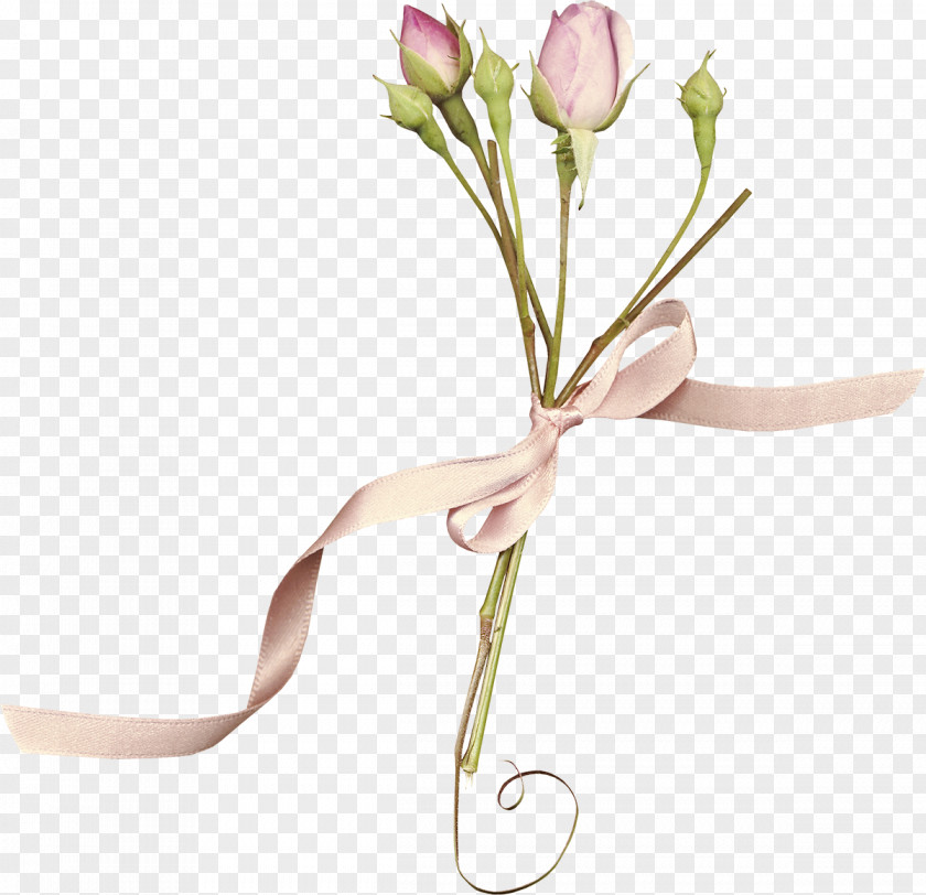 Rose Gold Flowers Flower Purple Color PNG