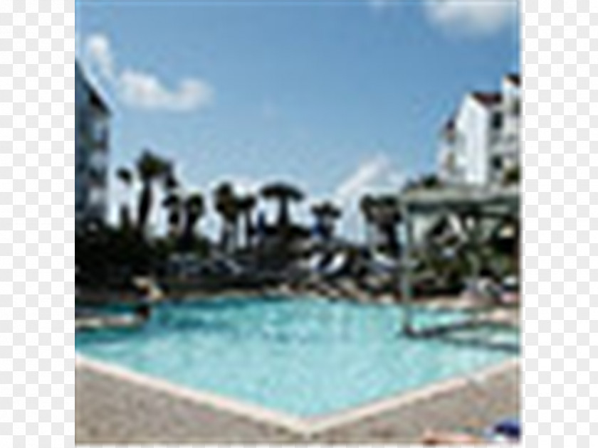 Vacation Resort Town Swimming Pool Water Resources PNG