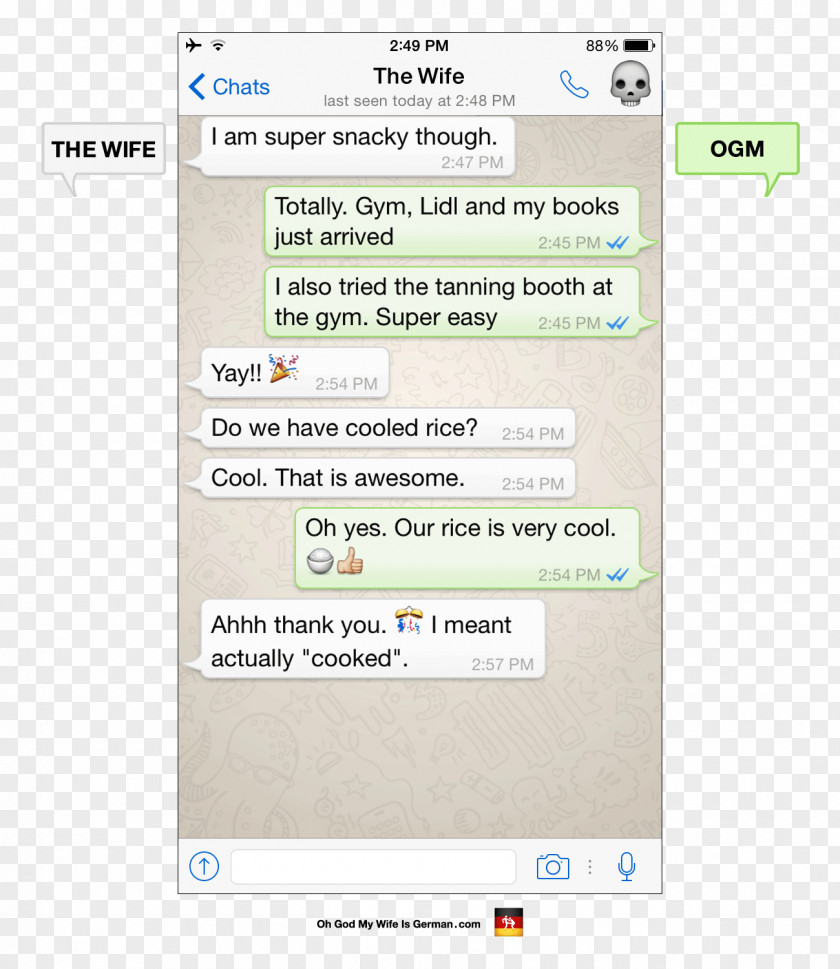 Whatsapp WhatsApp Message Text Messaging Love Online Chat PNG