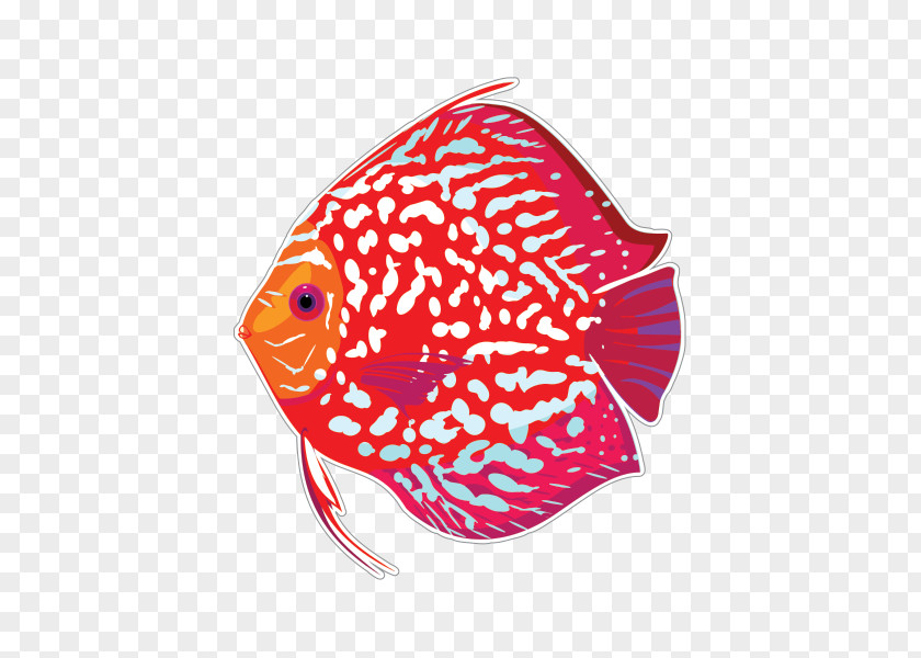 Fish Tropical Aquarium Red Discus Paper PNG