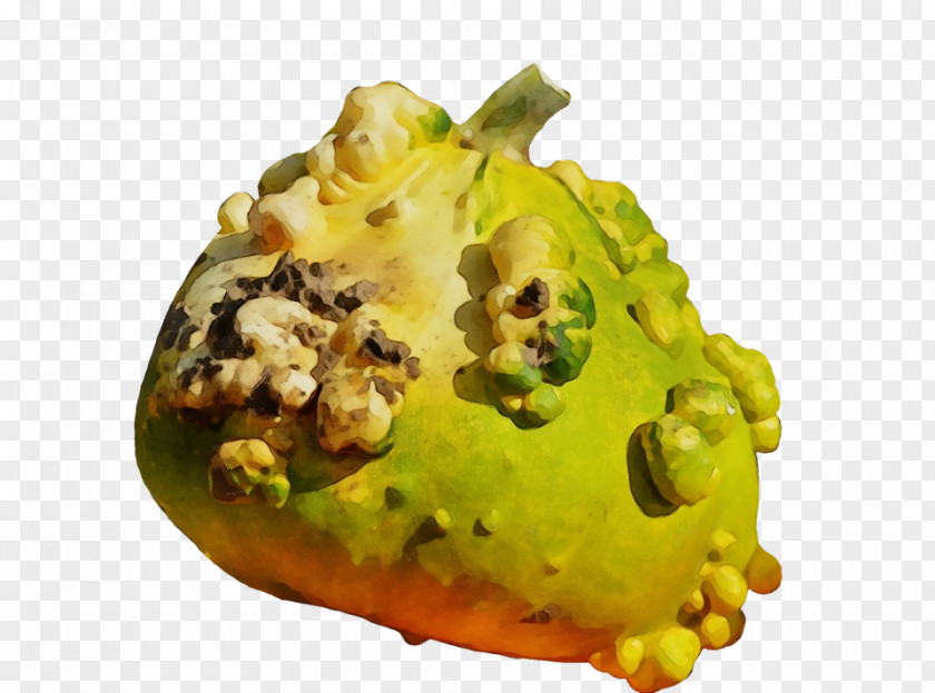 Ingredient Horned Melon Food Dish Cuisine Plant PNG