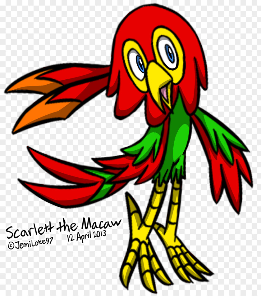 Line Macaw Beak Art Clip PNG
