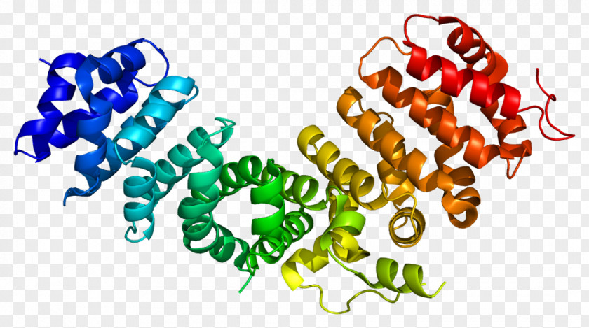 Plakophilin-1 Cadherin Armadillo Repeat Plakoglobin PNG