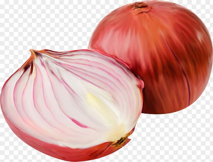 Beautiful Orange Onion Vegetable Gratis PNG