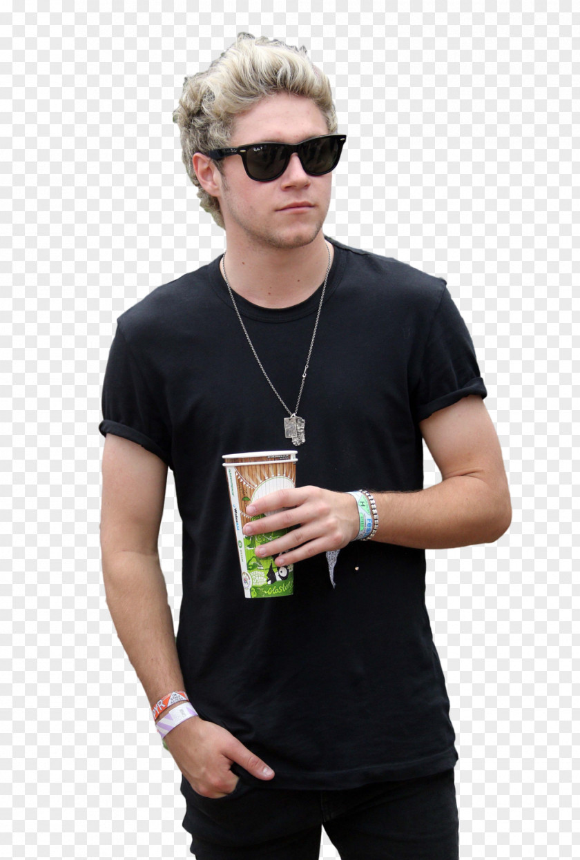 Direction Niall Horan One Flicker On The Loose PNG