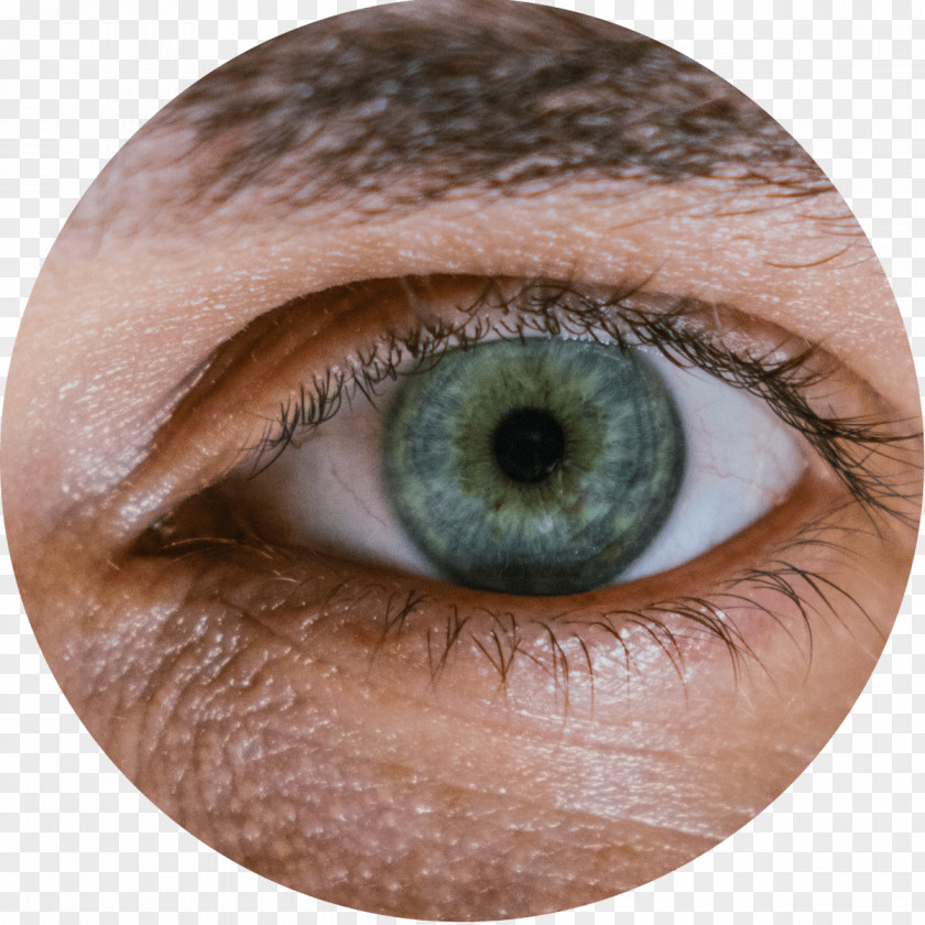 Eyelids Human Eye Examination Visual Perception Pupil PNG