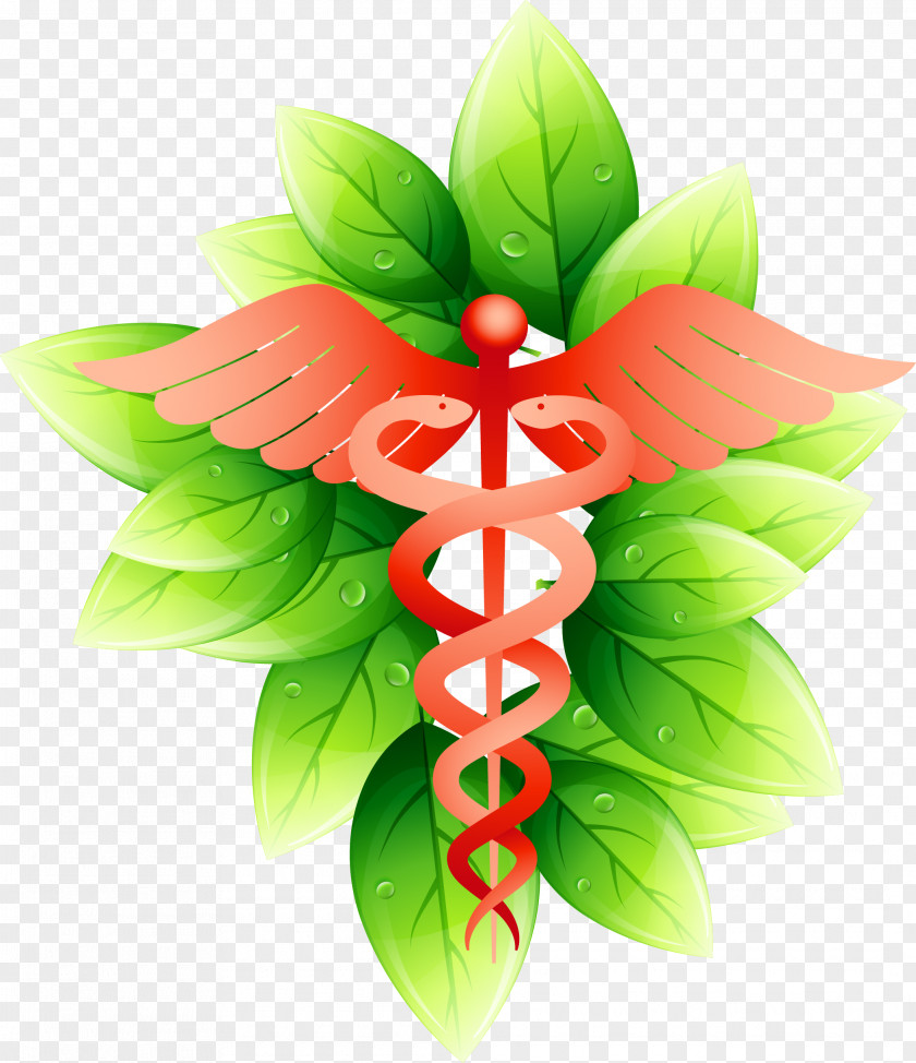 Green Leaves With Water Droplets Symbol Medicine Physician PNG