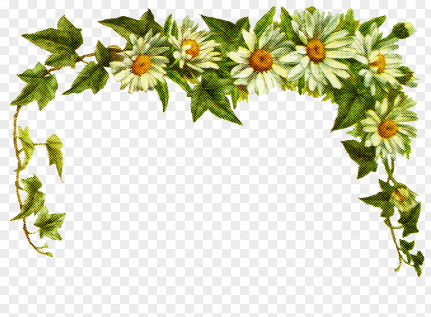 Ivy Family Holly Common Daisy Flower Transparency GIF Sticker PNG