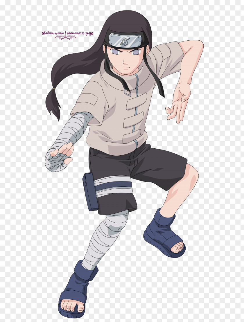 Naruto Kakashi Hatake Neji Hyuga Hinata Character PNG