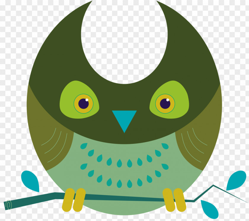Owl Clip Art Illustration Beak Bird PNG
