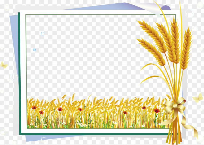 Paddy Vector Label Clip Art PNG