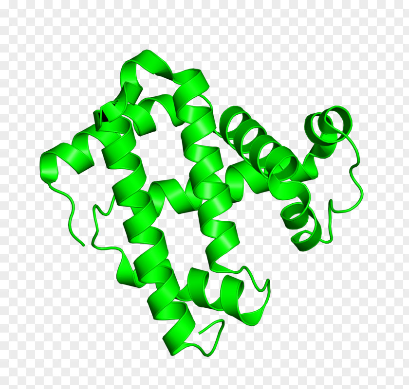 Protein Data Bank Myoglobin Structure X-ray Crystallography PNG structure crystallography, others clipart PNG