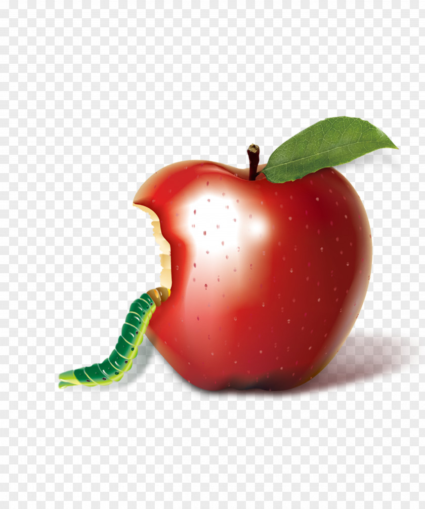 Apple On The Caterpillar PNG
