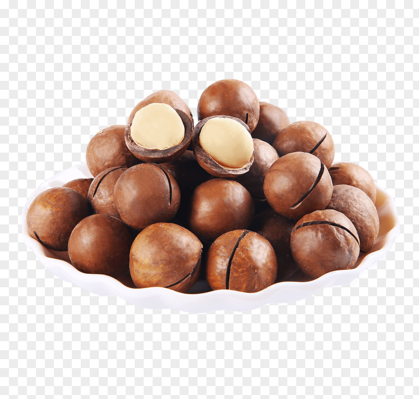Chocolate Mozartkugel Truffle Praline Balls Bonbon PNG