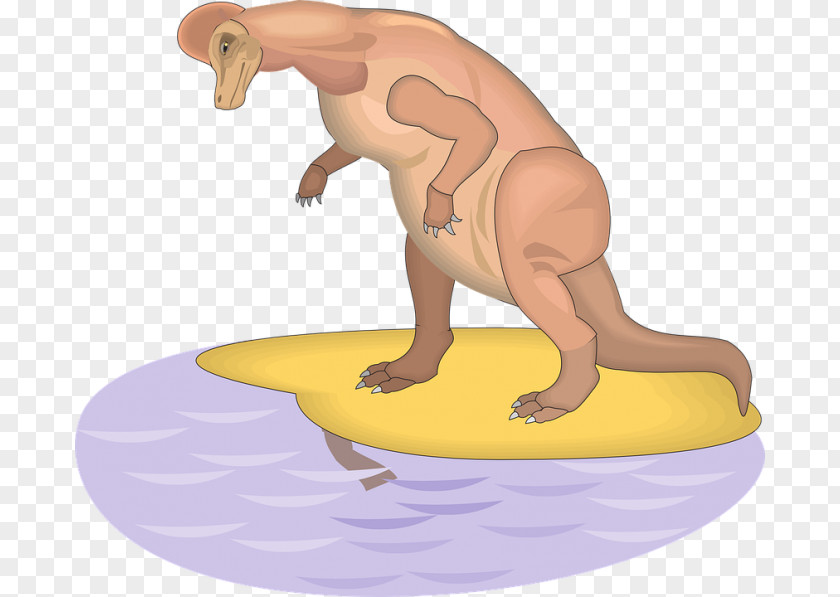 Dinosaur Corythosaurus Tyrannosaurus Reptile Ichthyosaur PNG