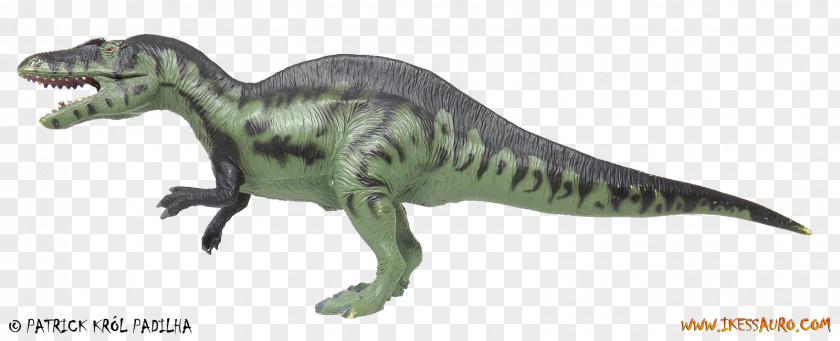 Dinosaur Tyrannosaurus Velociraptor Dilophosaurus Theropods PNG