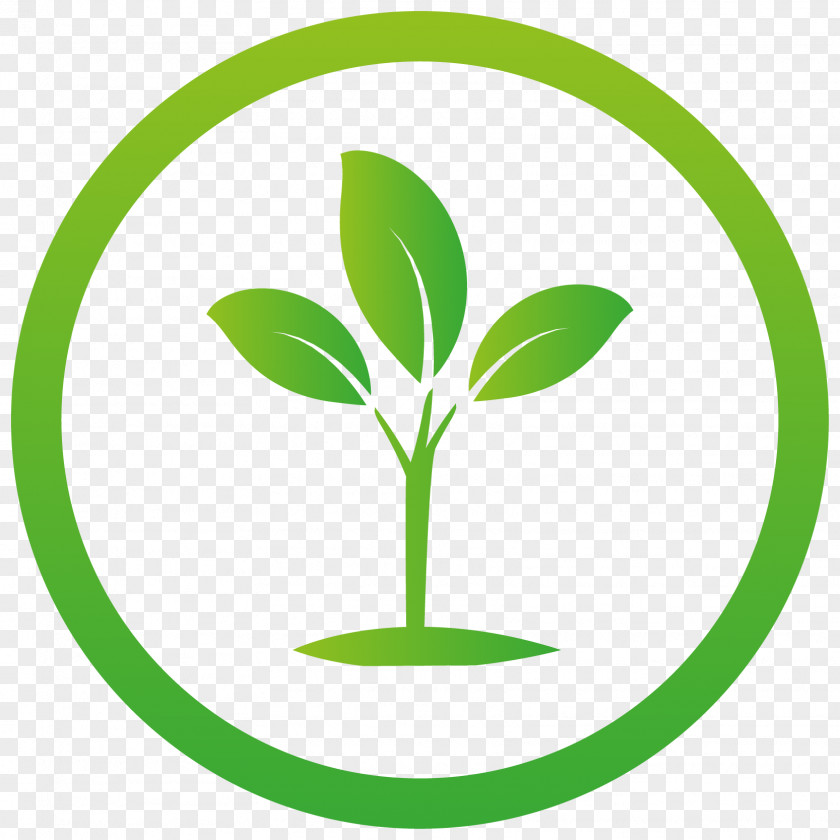 Growing Icon Seedling Leaf Succulent Plant Plants PNG