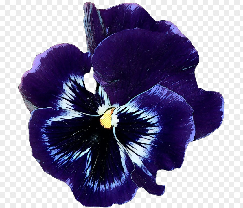 Iris Violet Family Blue Flower PNG