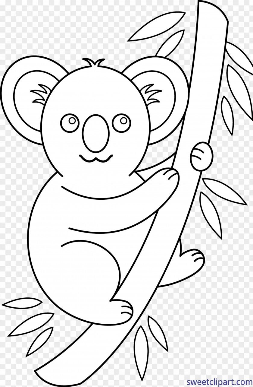 Koala Baby Bear Giant Panda PNG