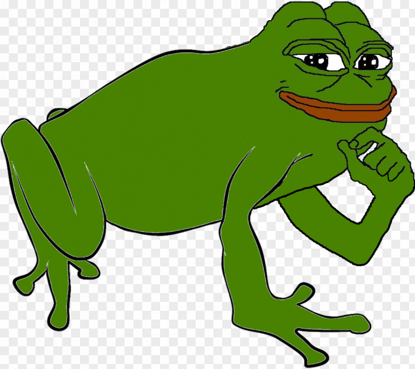 Moods Pepe The Frog Coloring Book Amphibian True PNG