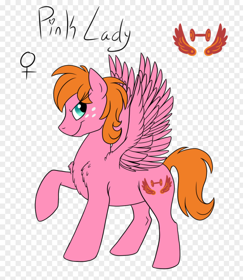 My Little Pony Rarity Spike Horse PNG