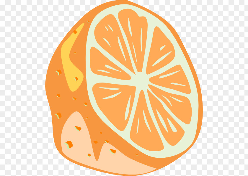 Orange Clipart Lime Mojito Lemon Clip Art PNG