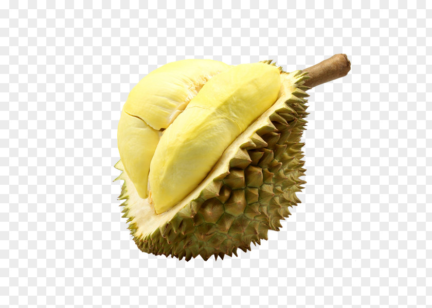 Durian Thai Cuisine Durio Zibethinus Fruit Singaporean Food PNG