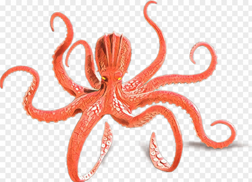 Molluscs Organism Octopus Cartoon PNG