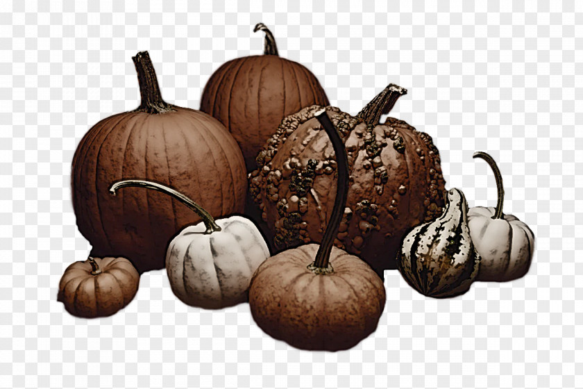 Squash Winter Gourd PNG