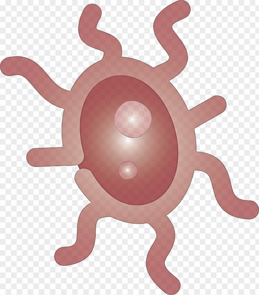 Bacteria Germs Virus PNG