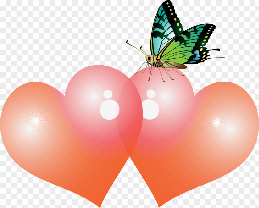 Butterfly Heart Love PNG