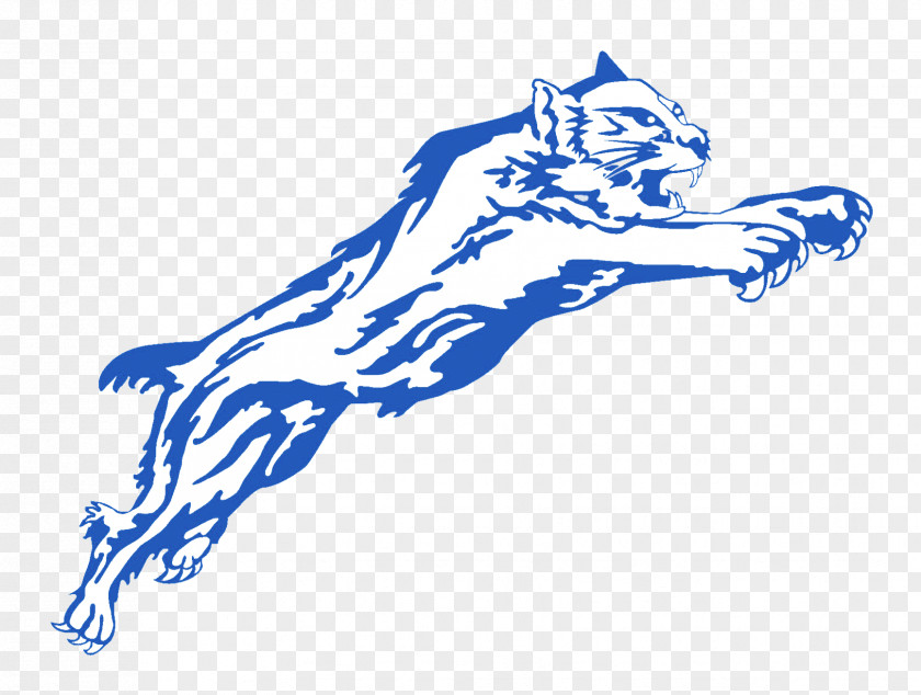 Cat Paris High School Arizona Wildcats Football University Of Kentucky PNG