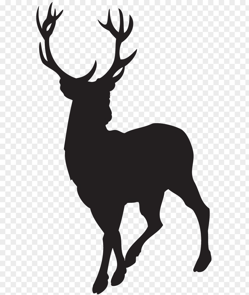 Deer Download Clip Art PNG