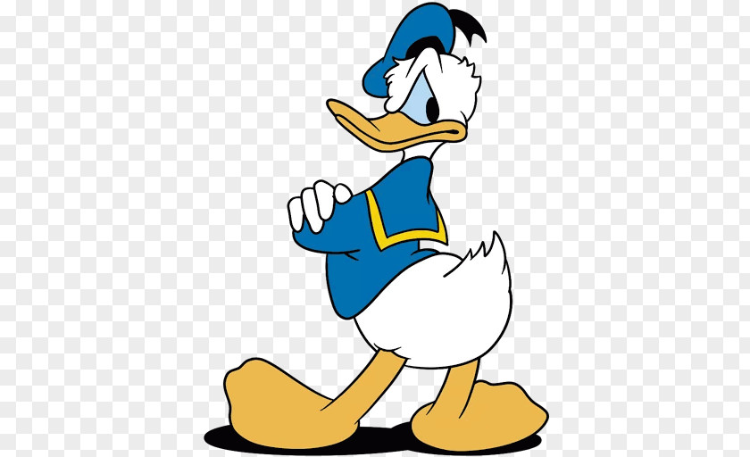 Donald Duck Daisy Daffy Drawing PNG