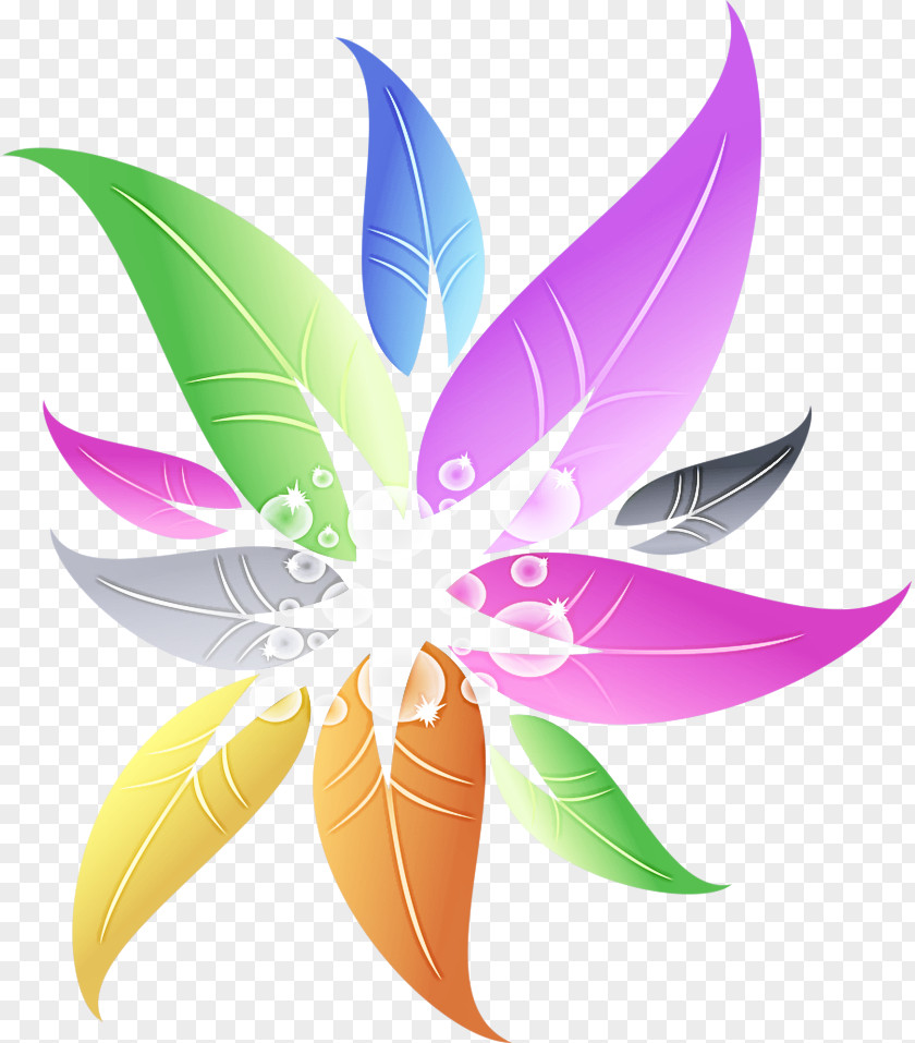 Flower Plant Leaf Petal Purple Violet PNG