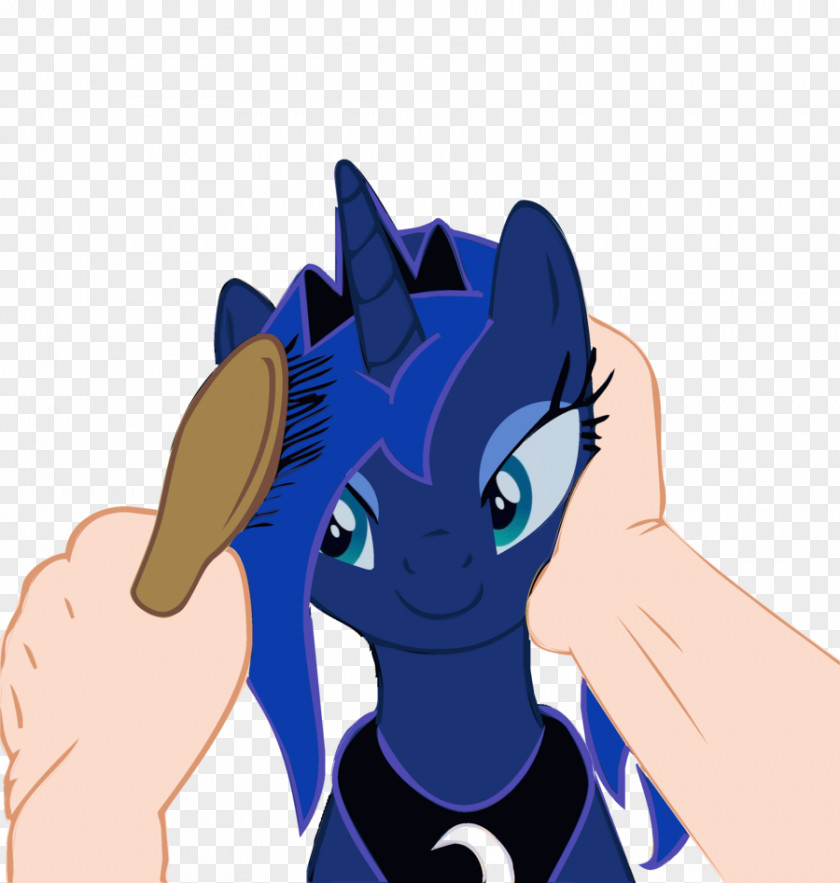 Horse Whiskers Fallout: Equestria Pony Cat PNG