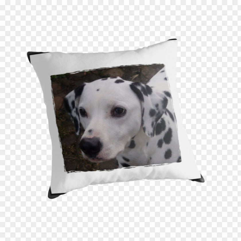 Pillow Dalmatian Dog Breed Throw Pillows Cushion PNG