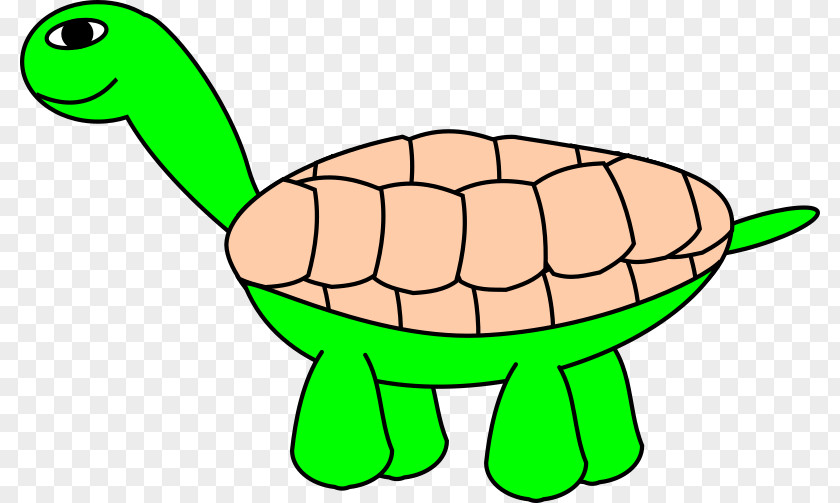 Tortoide Turtle Cartoon Clip Art PNG