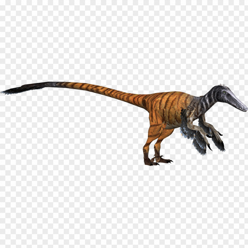 Zoo Tycoon 2 Velociraptor Tyrannosaurus Dinosaur PNG