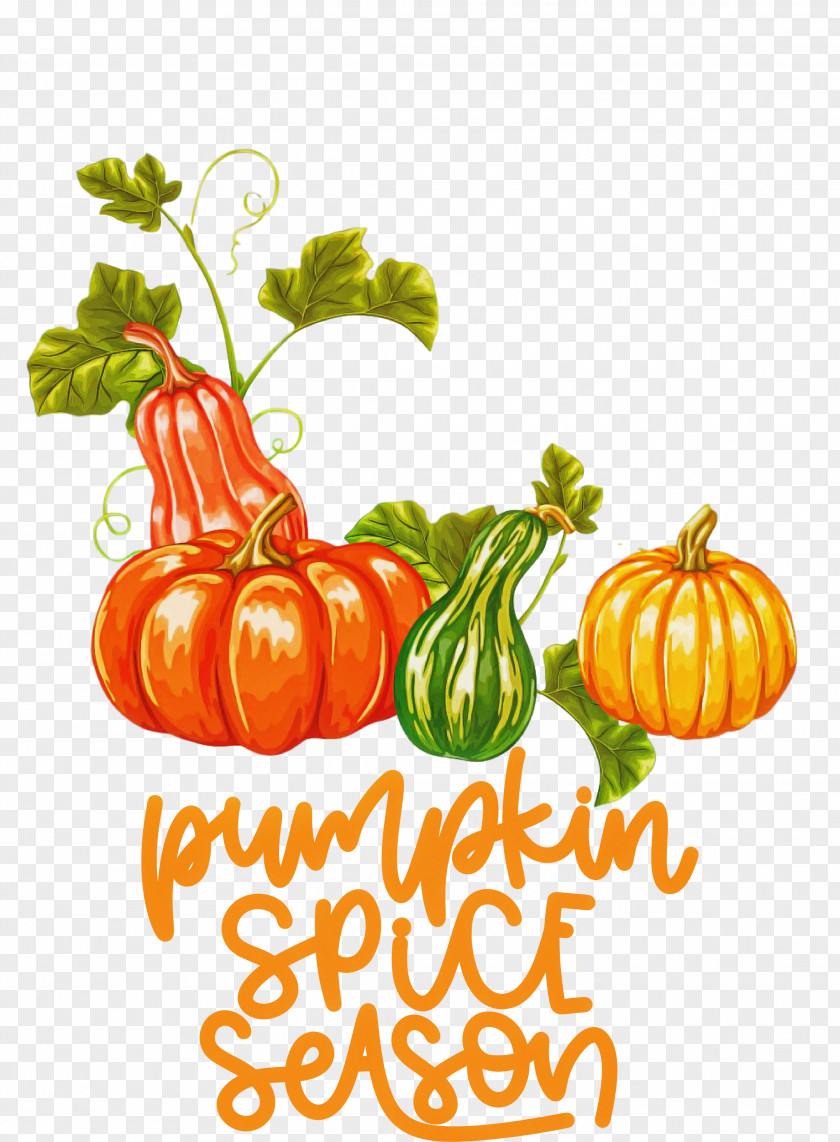 Autumn Pumpkin Spice Season Pumpkin PNG