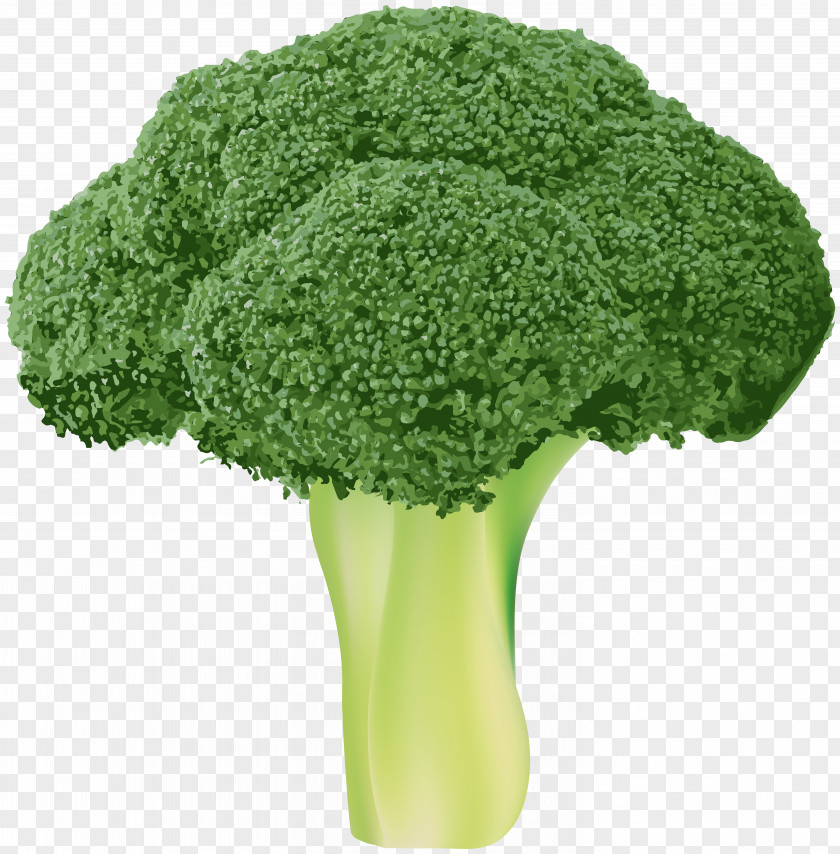 Broccoli Transparent Clip Art Image Vegetable Wallpaper PNG