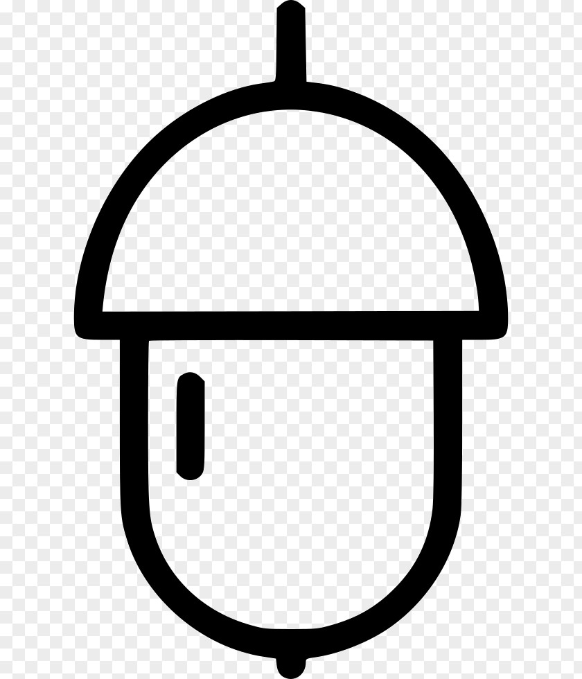 Cartoon Acorn Drawing Line PNG