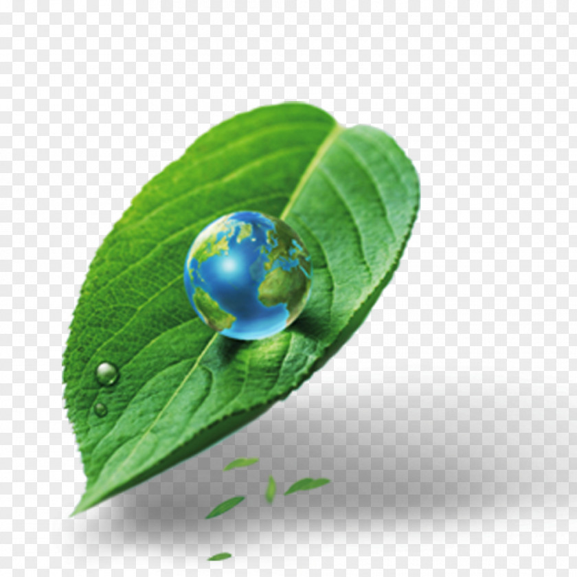 Leaves Earth Video Projector Computer Electric Light Bidorbuy PNG