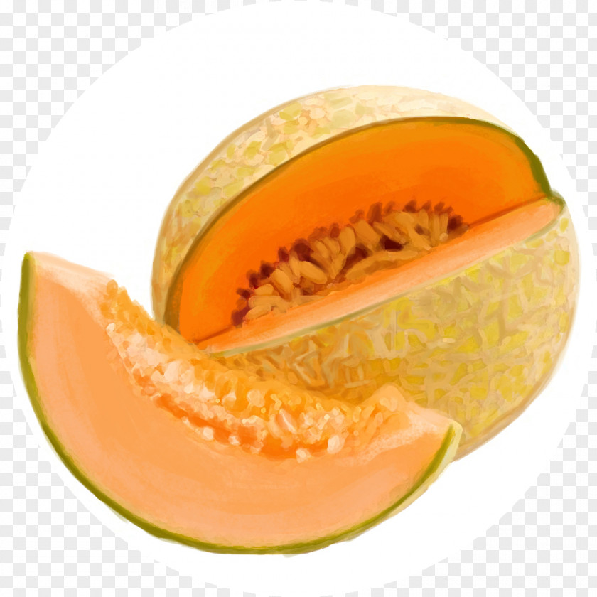 Melon Fruit Food Tuscany Cantaloupe Agriculture PNG