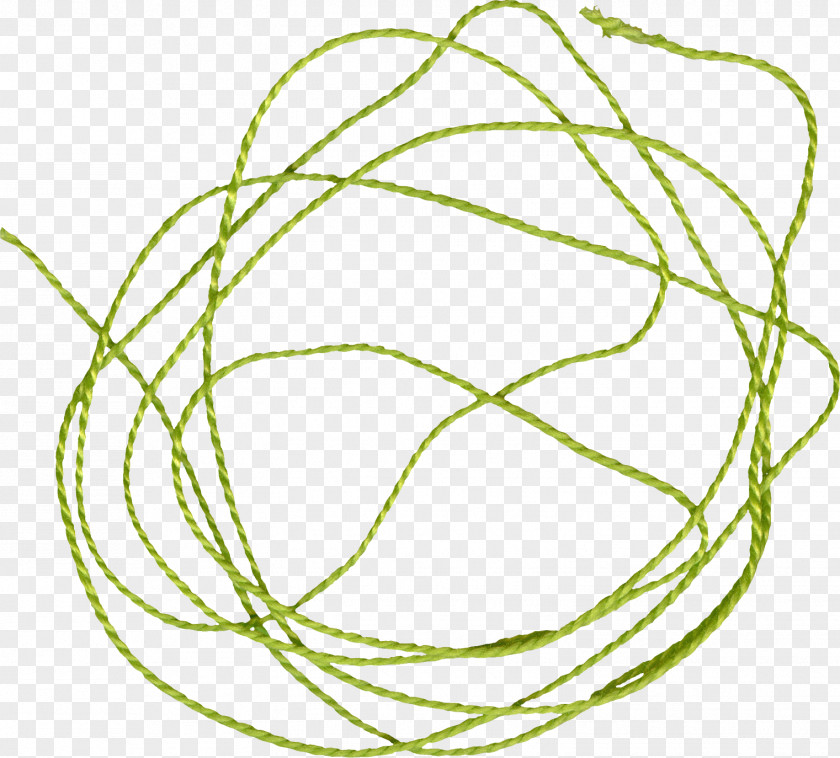 Rope Green Clip Art PNG